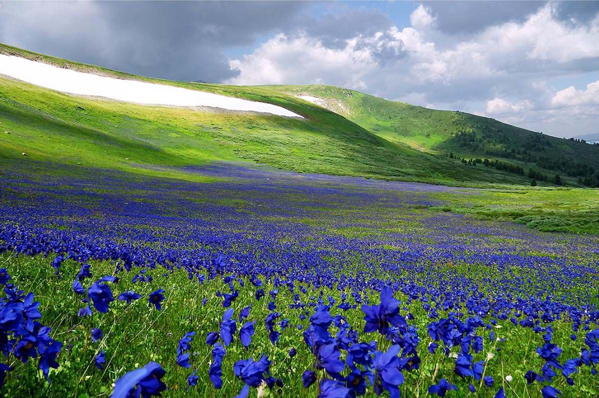 Весна в Монголии